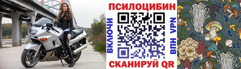 Галлюциногенные грибы Psilocybine cubensis  купить наркоту  Клин 