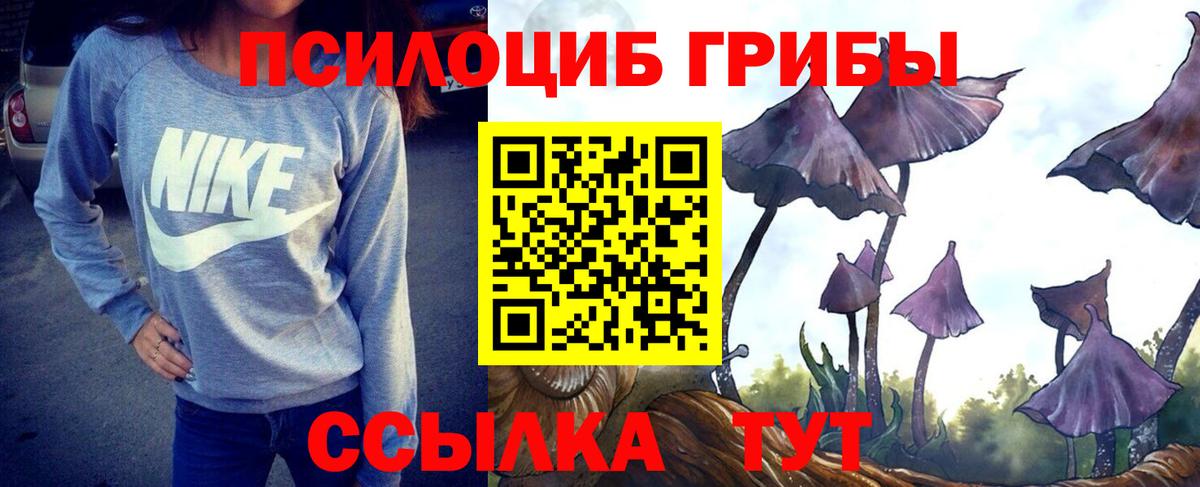 Галлюциногенные грибы Psilocybe  Псилоцибиновые грибы мухоморы  Клин  Вход с VPN 